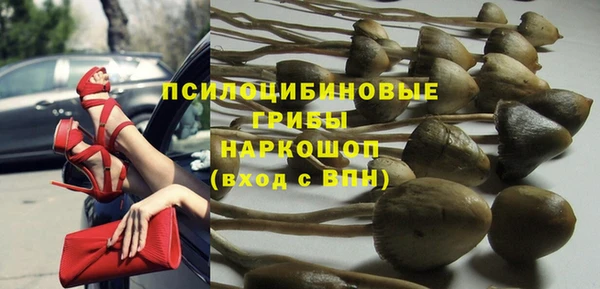 спайс Беломорск